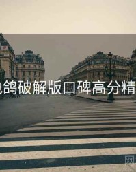 电鸽破解版口碑高分精选