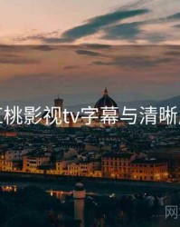 红桃影视tv字幕与清晰度