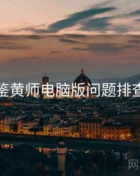 鉴黄师电脑版问题排查