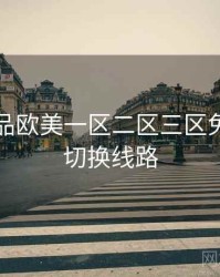 关于精品欧美一区二区三区免费观看切换线路