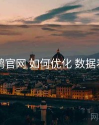 电鸽官网 如何优化 数据看点