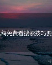 电鸽免费看搜索技巧要点
