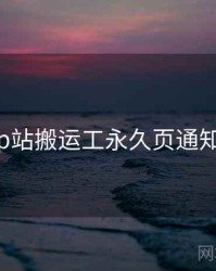 关于p站搬运工永久页通知设置