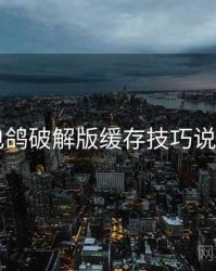 电鸽破解版缓存技巧说明