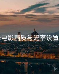 欧乐电影画质与码率设置详解