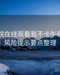 神马影院在线观看我不卡午夜合规与风险提示要点整理