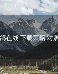 电鸽在线 下载策略 对照表