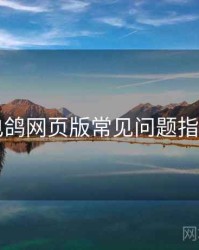 电鸽网页版常见问题指南