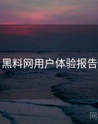 黑料网用户体验报告
