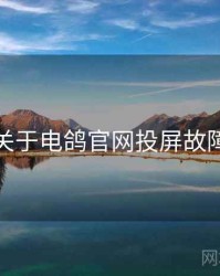 关于电鸽官网投屏故障