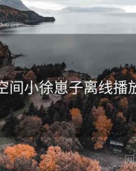 秘语空间小徐崽子离线播放要点