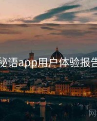 秘语app用户体验报告