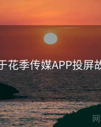 关于花季传媒APP投屏故障