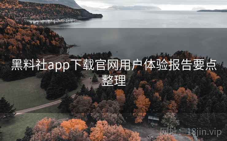 黑料社app下载官网用户体验报告要点整理