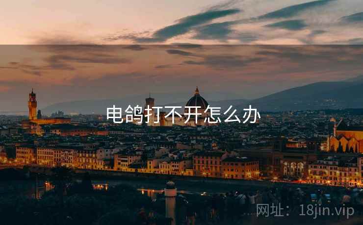 电鸽打不开怎么办 电鸽打不开怎么办