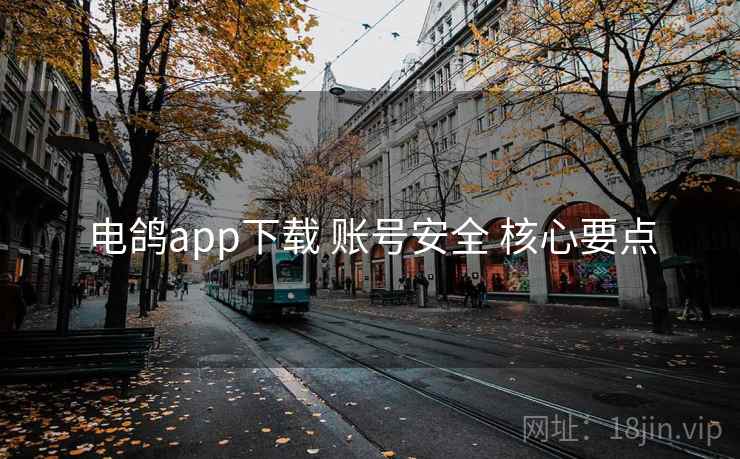 电鸽app下载 账号安全 核心要点 电鸽app下载 账号安全 核心要点